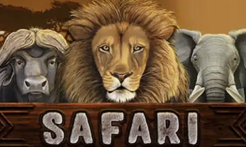 Safari